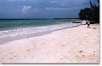 white sand beach