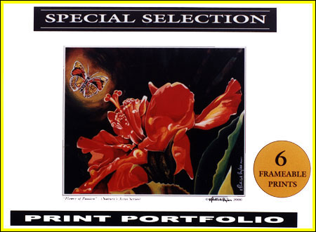 Special Selection Print Portfolio